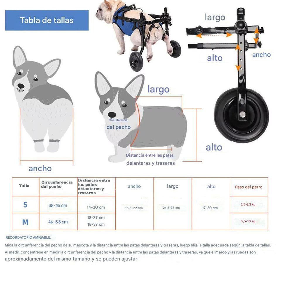 Silla de Ruedas para Perros Pequeños – Rehabilitación y Movilidad