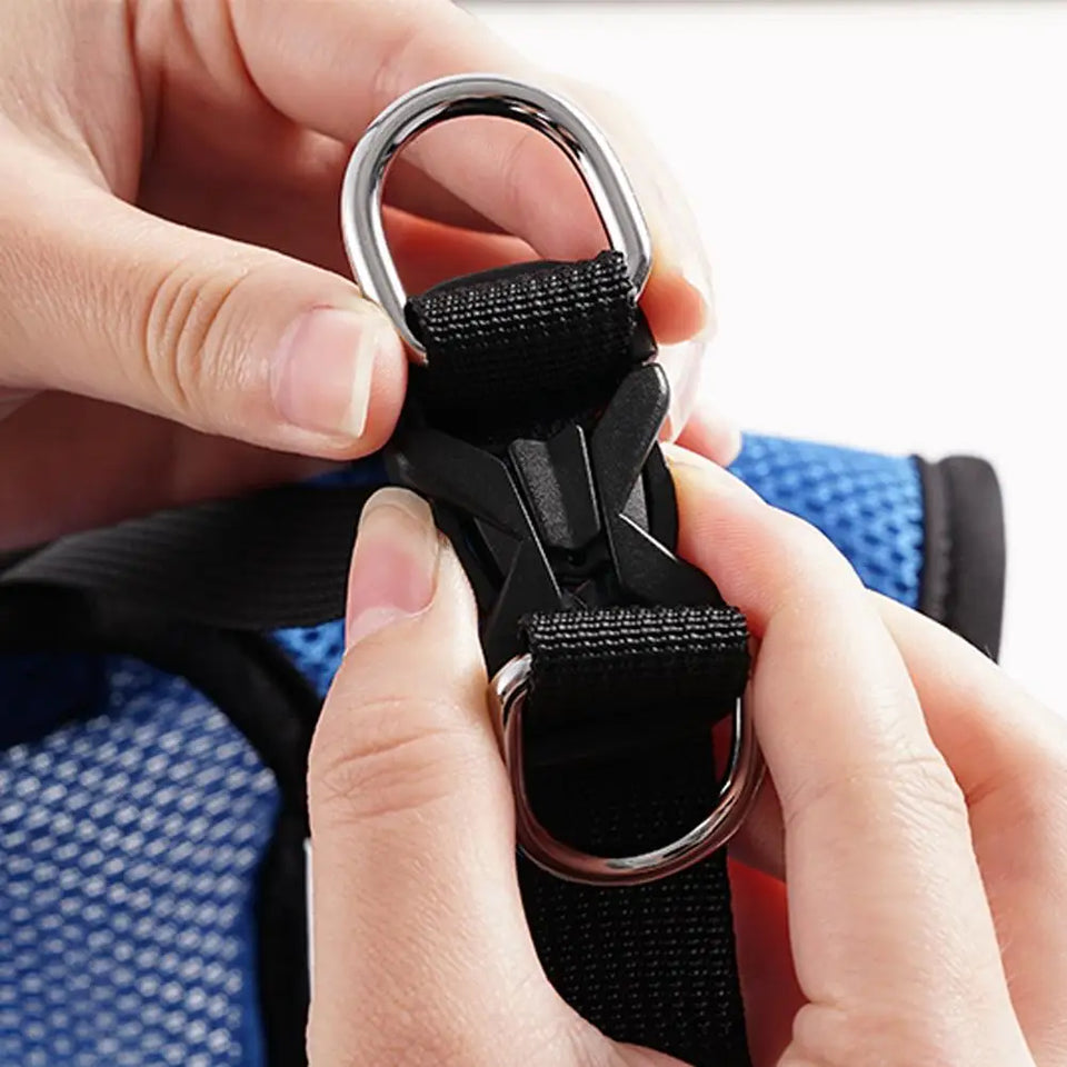 Silla de Ruedas para Perros Pequeños – Rehabilitación y Movilidad